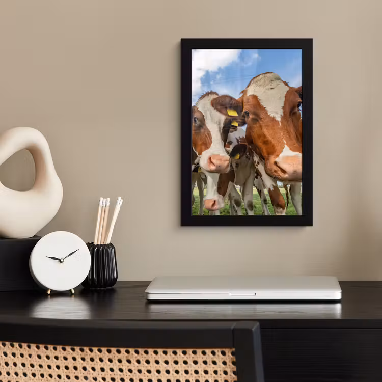 Poster met lijst - Koeien - Dieren - Weiland - Natuur — 3