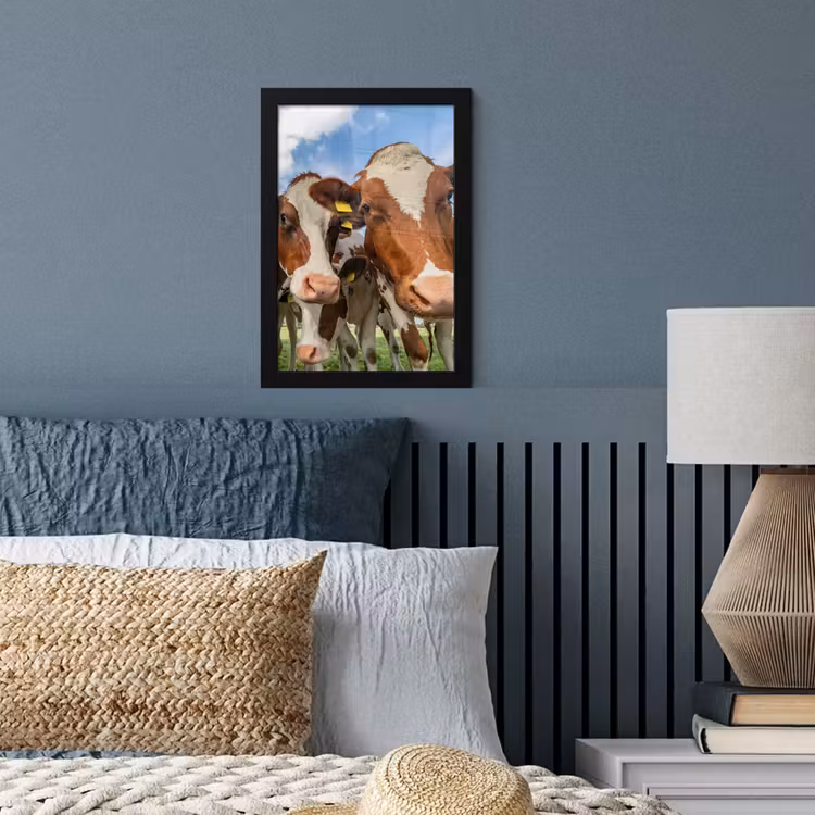 Poster met lijst - Koeien - Dieren - Weiland - Natuur — 4