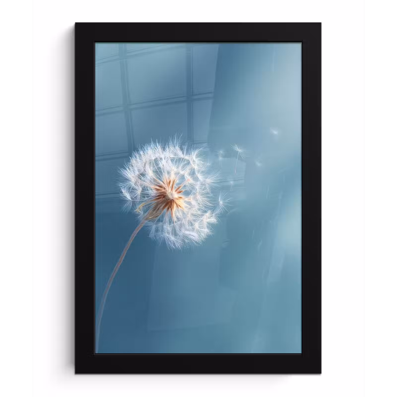 Poster met lijst - Paardenbloem - Wind - Blauw — 1