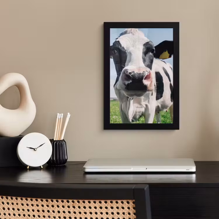 Poster met lijst - Koe - Weiland - Natuur - Dieren - Gras — 3