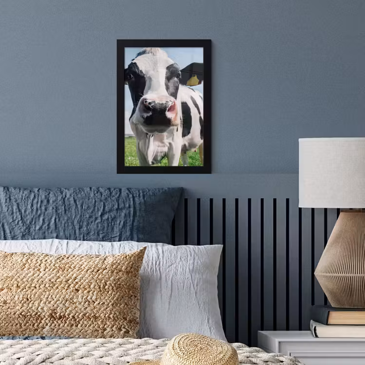 Poster met lijst - Koe - Weiland - Natuur - Dieren - Gras — 4