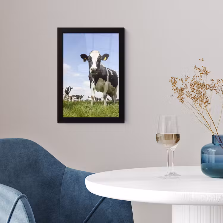 Poster met lijst - Koeien - Gras - Dieren - Zon - Boerderij — 2