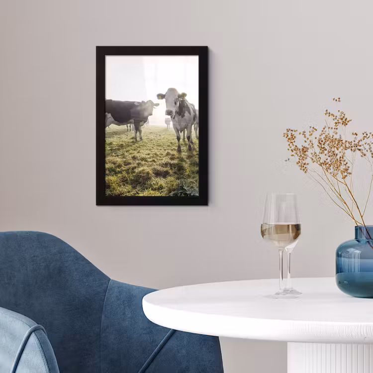 Poster met lijst - Koeien - Licht - Gras - Dieren — 2