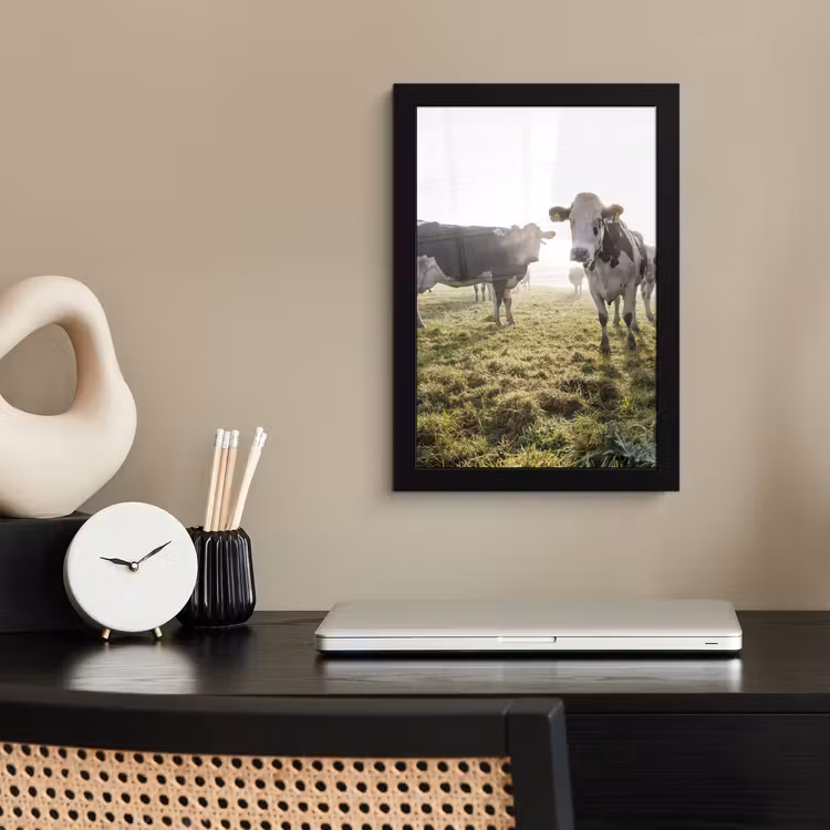 Poster met lijst - Koeien - Licht - Gras - Dieren — 3