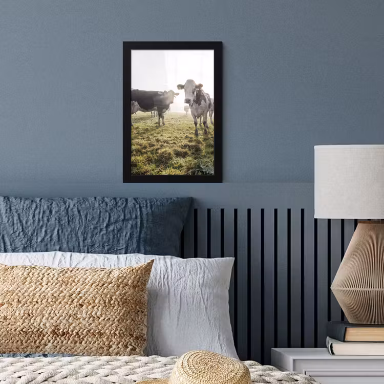 Poster met lijst - Koeien - Licht - Gras - Dieren — 4
