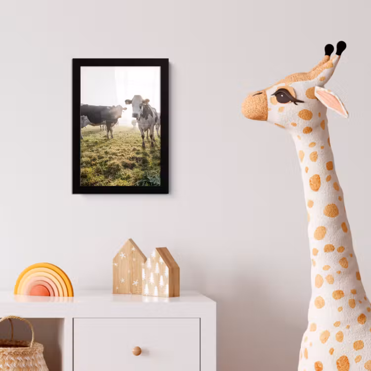 Poster met lijst - Koeien - Licht - Gras - Dieren — 5