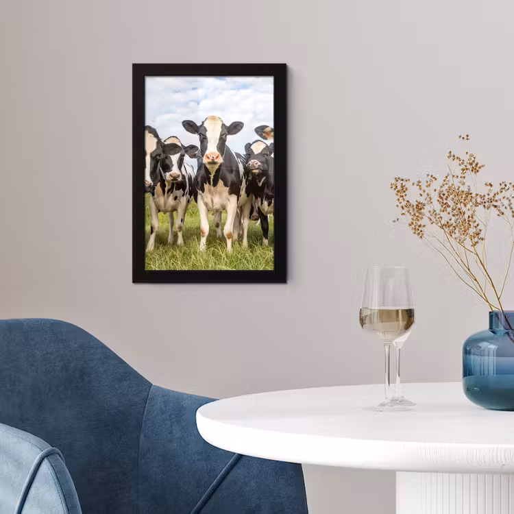 Poster met lijst - Koeien - Weiland - Dieren - Natuur - Gras — 2