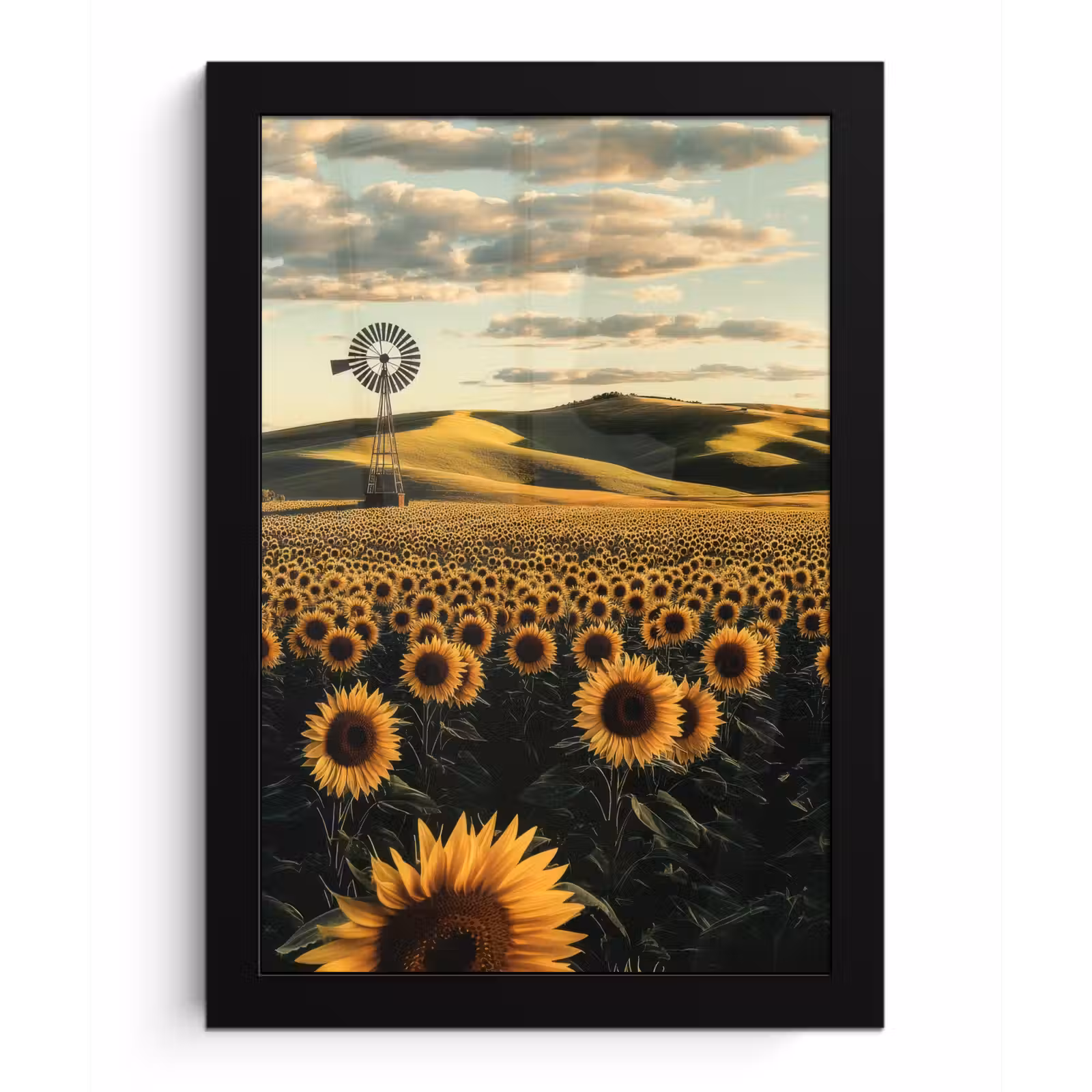 Poster met lijst - Zonnebloem - Veld - Windmolen — 1