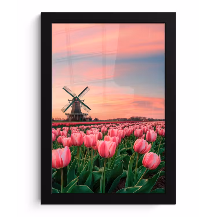 Poster met lijst - Tulpen - Molen - Nederland — 1