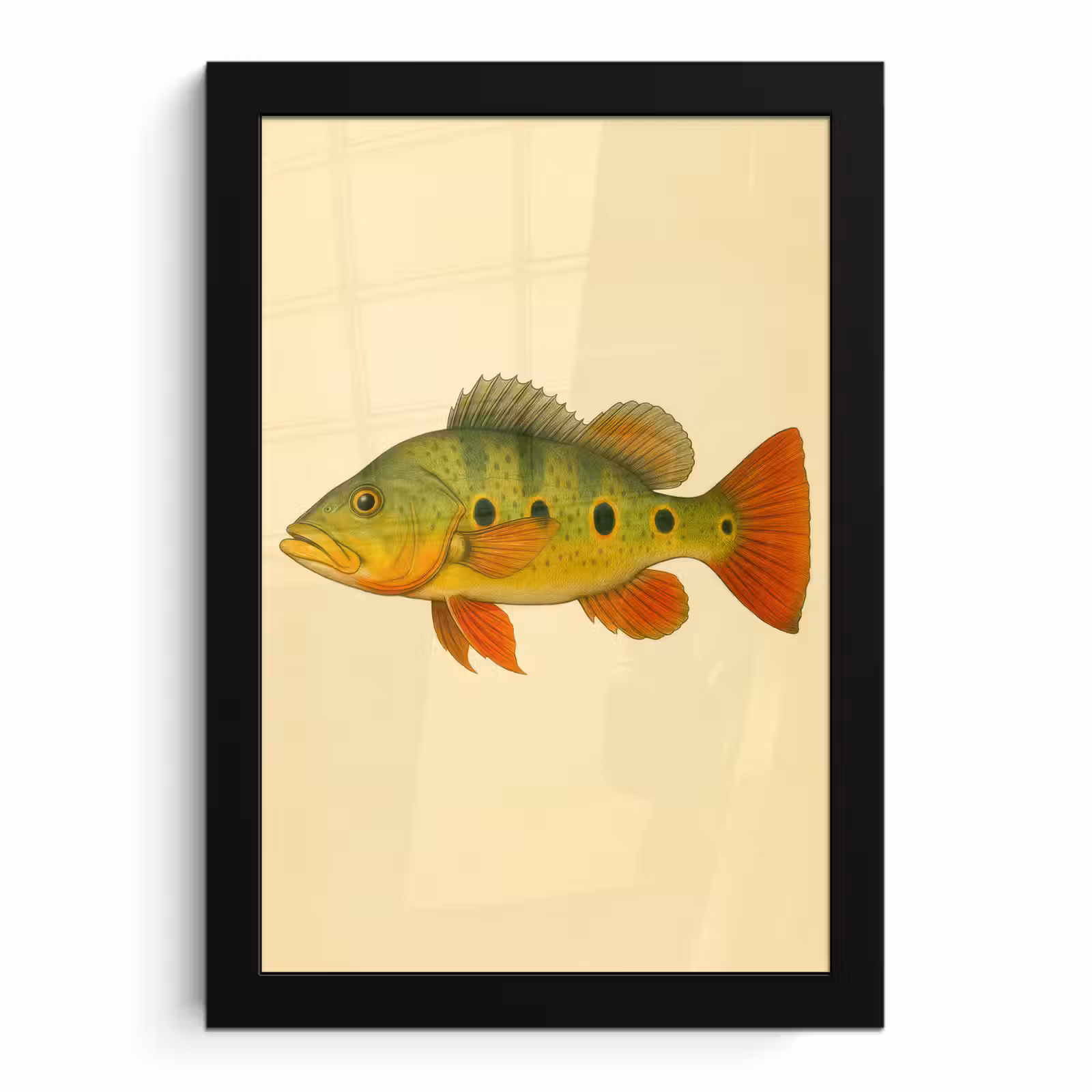 Poster met lijst - Schubben - Vis - Groen - Illustratie — 1