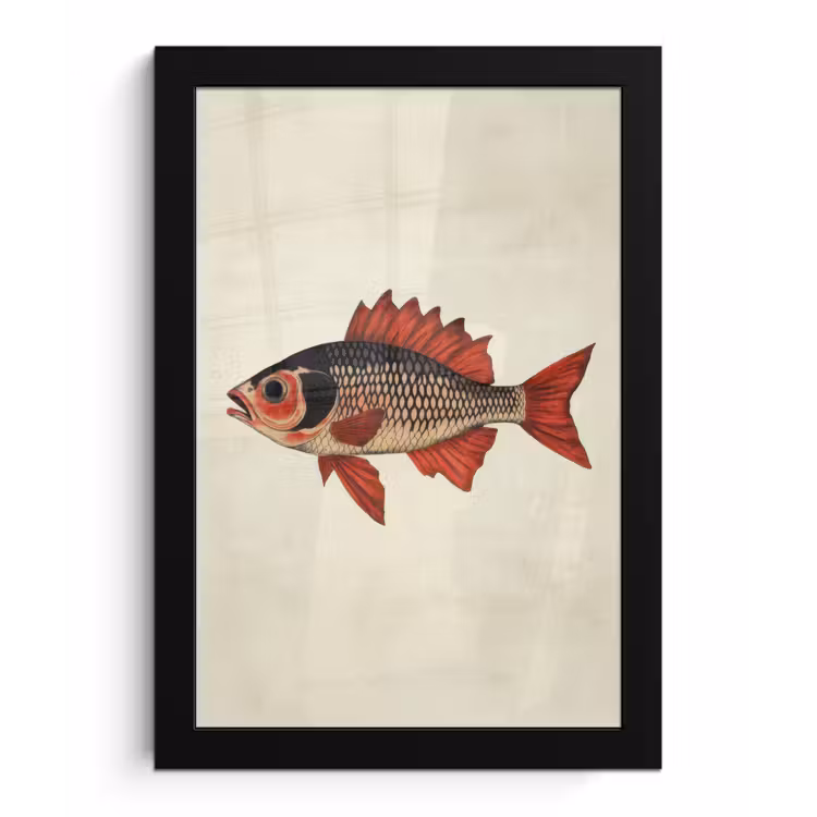 Poster met lijst - Schubben - Rood - Vis - Vinnen — 1