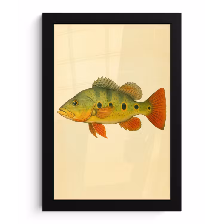 Poster met lijst - Schubben - Vis - Groen - Illustratie — 1