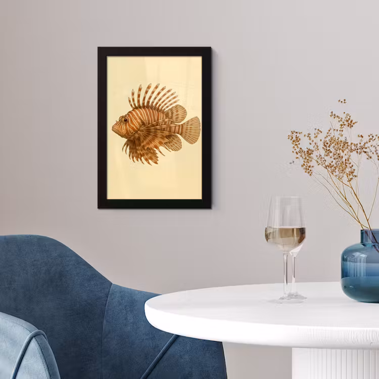Poster met lijst - Strepen - Vis - Rond - Stekels — 2