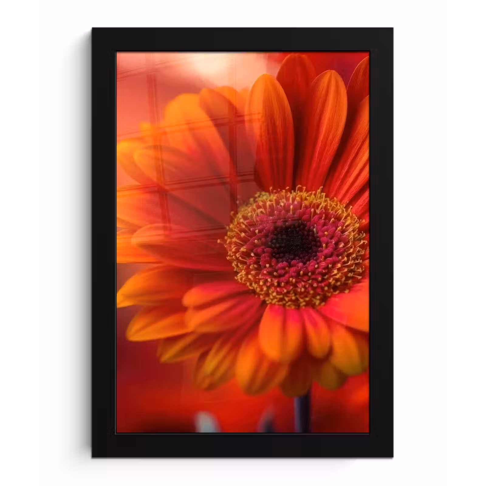 Poster met lijst - Oranje - Gerbera - Intens — 1