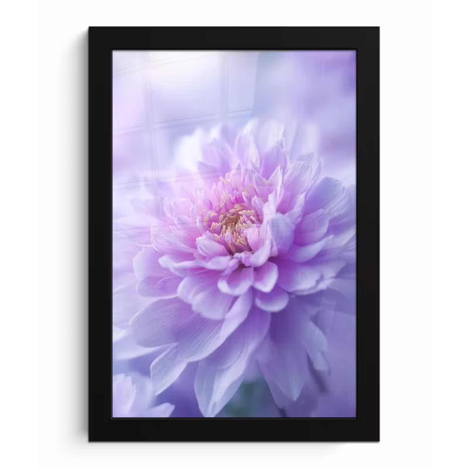 Poster met lijst - Paars - Dahlia - Dromerig — 1