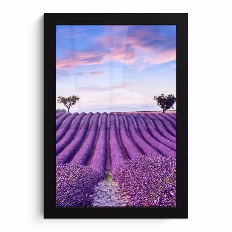 Poster met lijst - Lavendel - Natuur - Paars - Bomen - Bloemen — 1