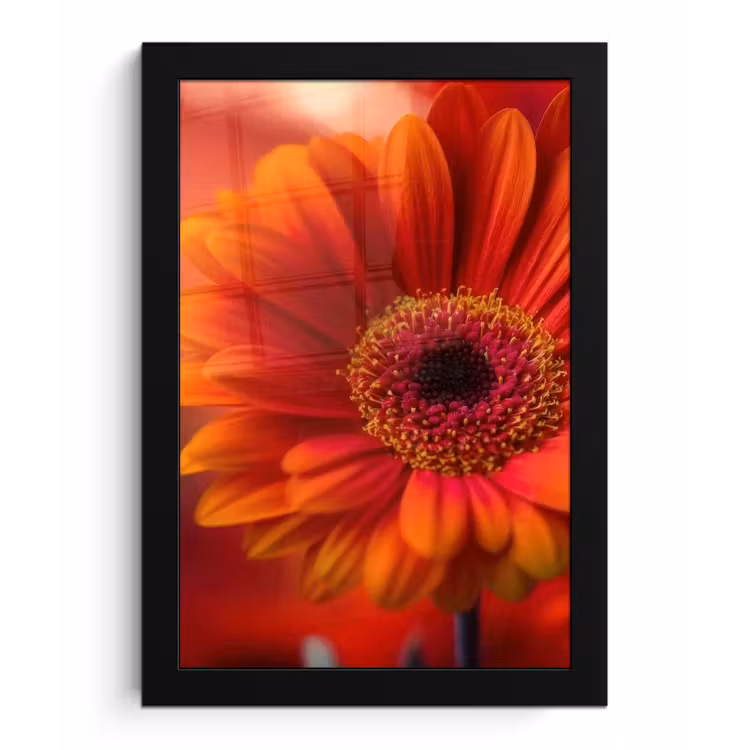 Poster met lijst - Oranje - Gerbera - Intens — 1