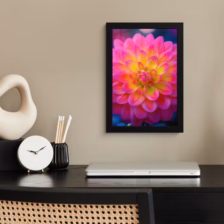 Poster met lijst - Roze - Dahlia - Kleurrijk — 3