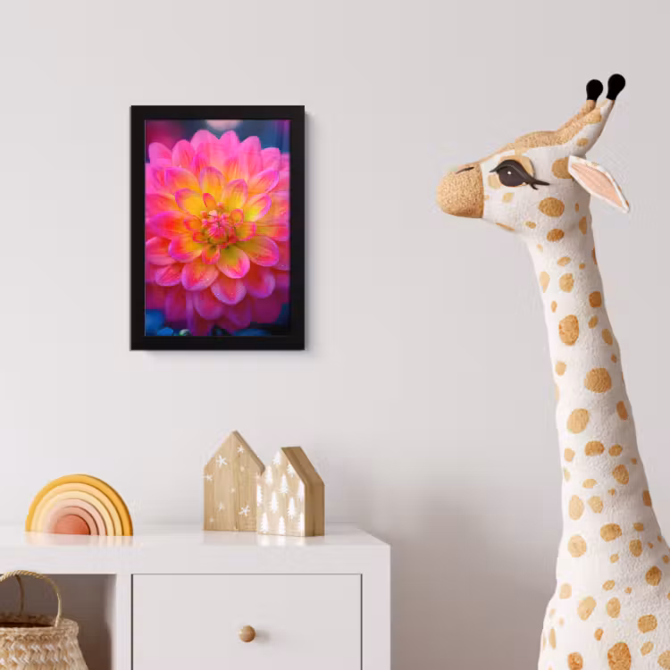 Poster met lijst - Roze - Dahlia - Kleurrijk — 5