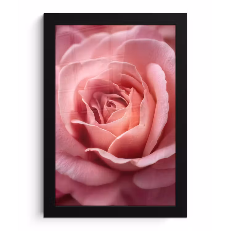 Poster met lijst - Roze - Roos - Romantisch — 1