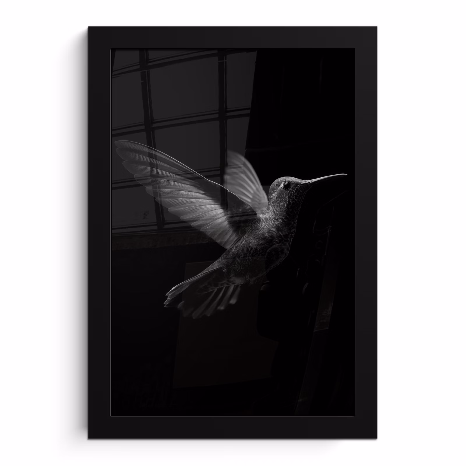Poster met lijst - Kolibrie - Zwart - Dieren — 1