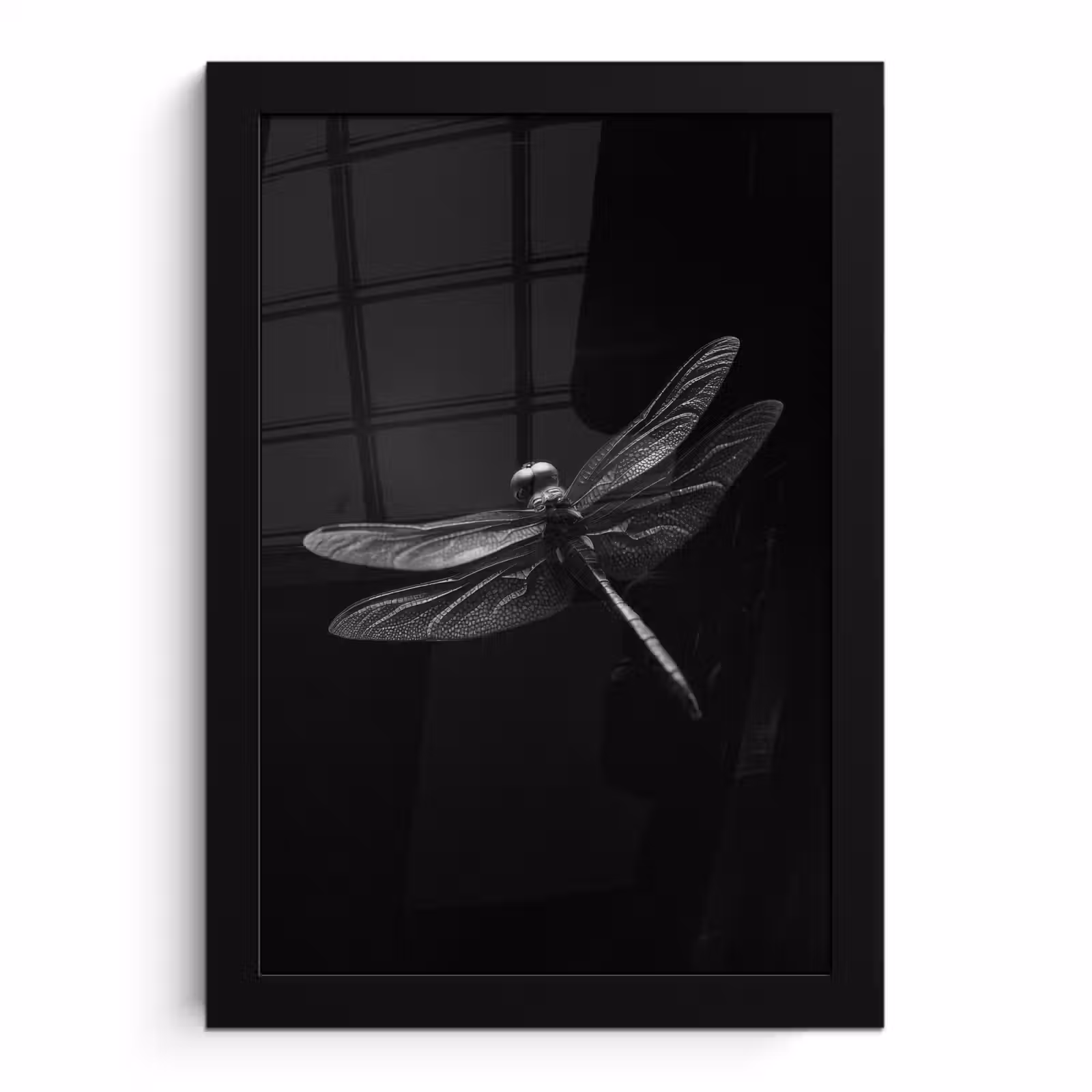 Poster met lijst - Libelle - Dieren - Zwart - Insect — 1