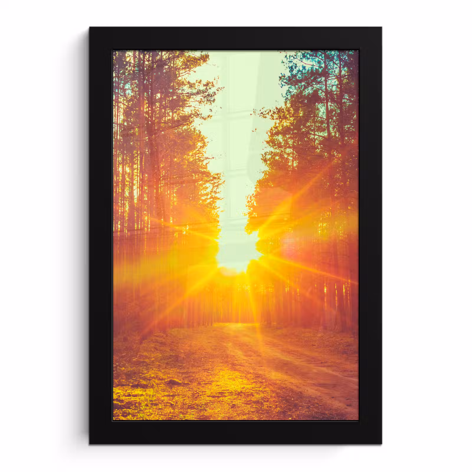 Poster met lijst - Zonsondergang - Bomen - Bos - Natuur — 1