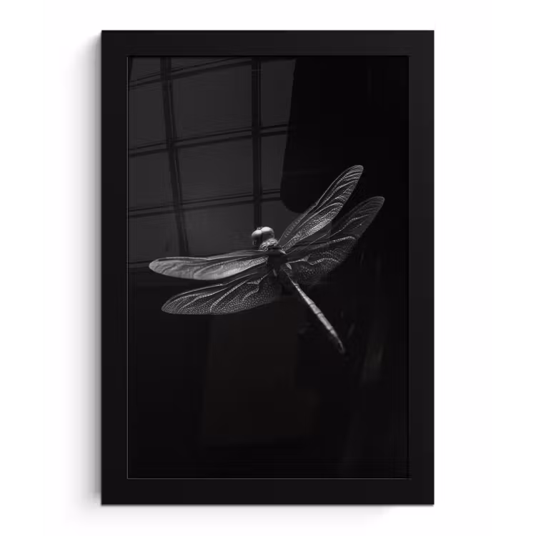 Poster met lijst - Libelle - Dieren - Zwart - Insect — 1