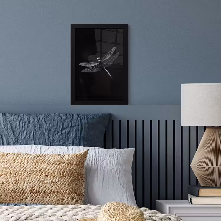 Poster met lijst - Libelle - Dieren - Zwart - Insect — 4
