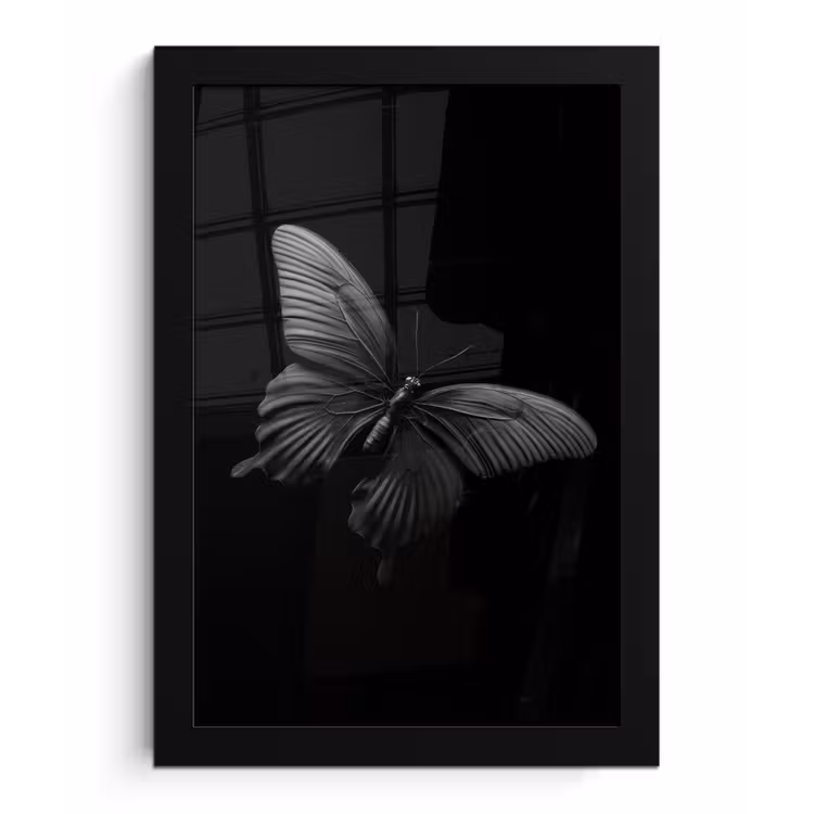 Poster met lijst - Vlinder - Zwart - Insect - Dieren — 1