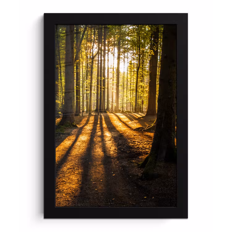 Poster met lijst - Zon - Bomen - Bos - Landschap - Natuur — 1