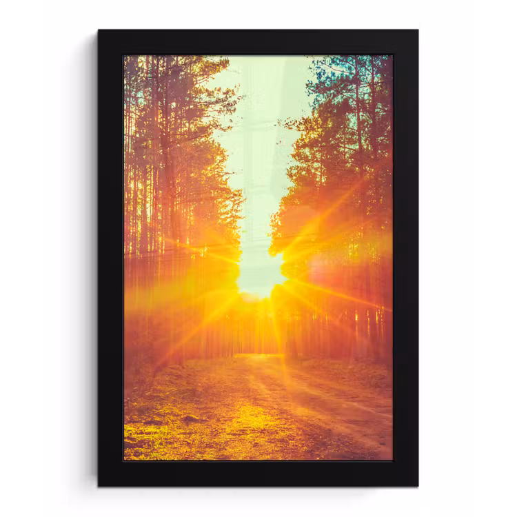 Poster met lijst - Zonsondergang - Bomen - Bos - Natuur — 1