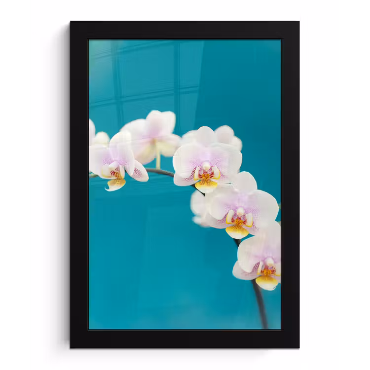 Poster met lijst - Orchidee - Bloemen - Plant - Wit - Paars — 1
