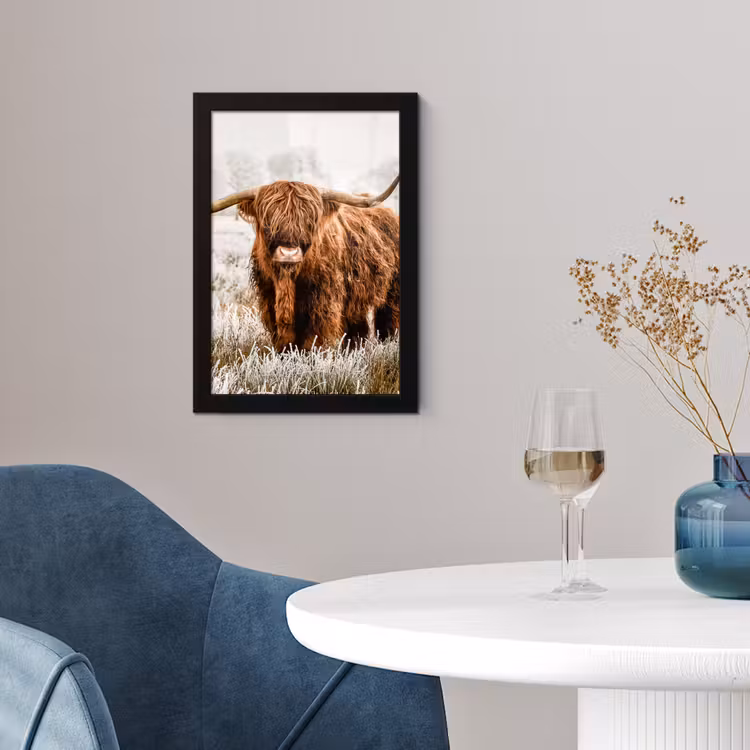 Poster met lijst - Schotse hooglander - Koe - Natuur - Winter — 2