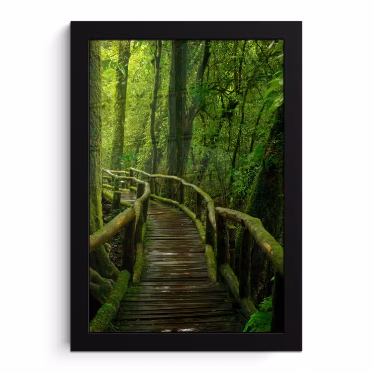 Poster met lijst - Jungle - Brug - Mos - Natuur - Tropisch — 1