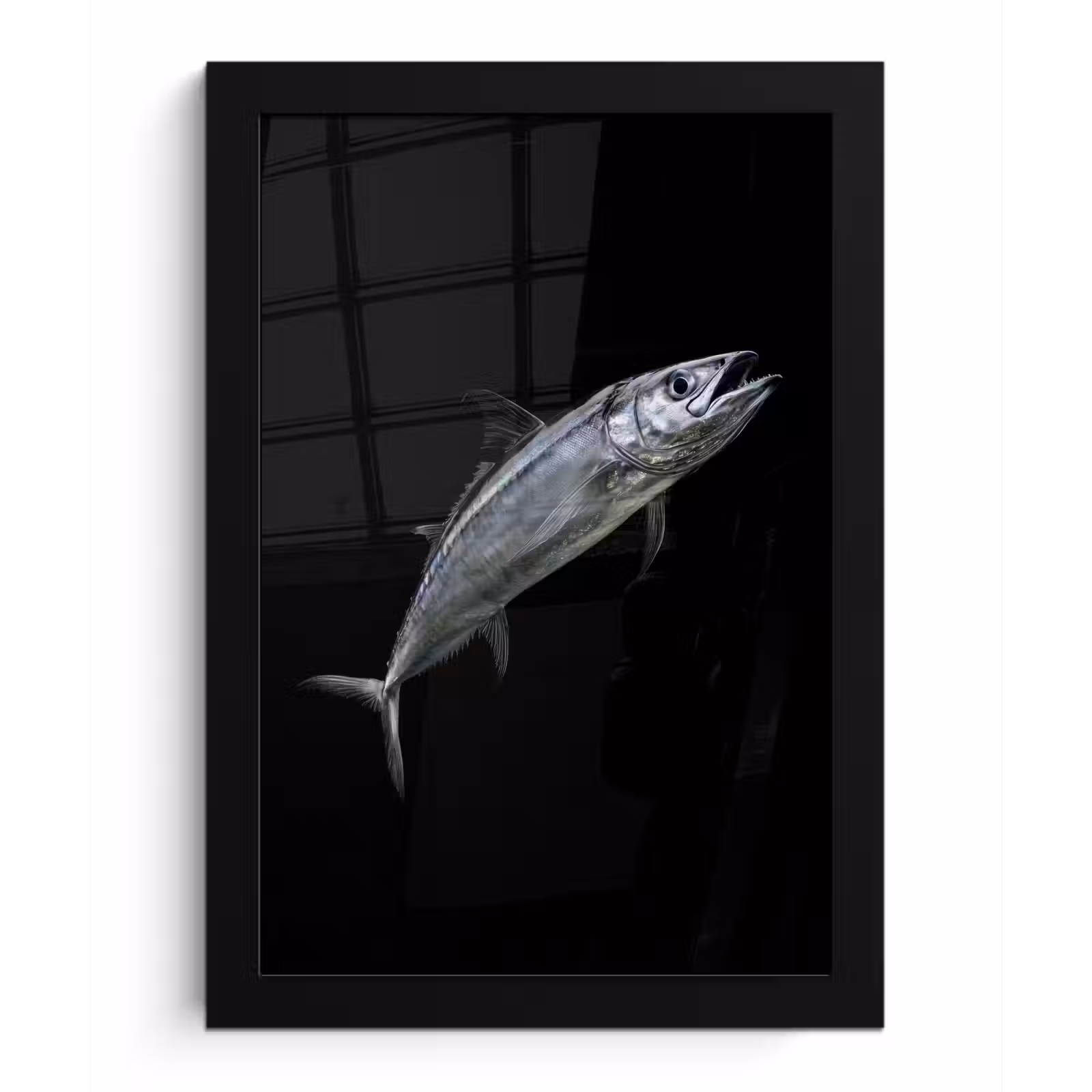 Poster met lijst - Makreel - Vis - Zwart — 1