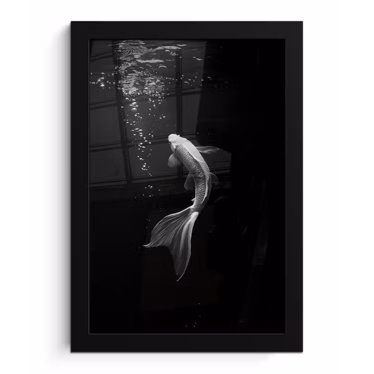 Poster met lijst - Koi - Vis - Wit - Zwart — 1