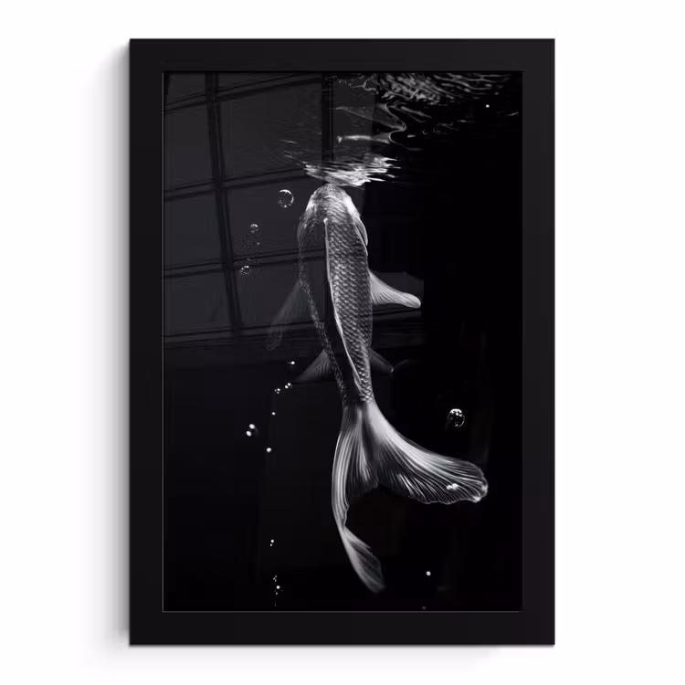 Poster met lijst - Koi - Vissen - Water - Zwart — 1