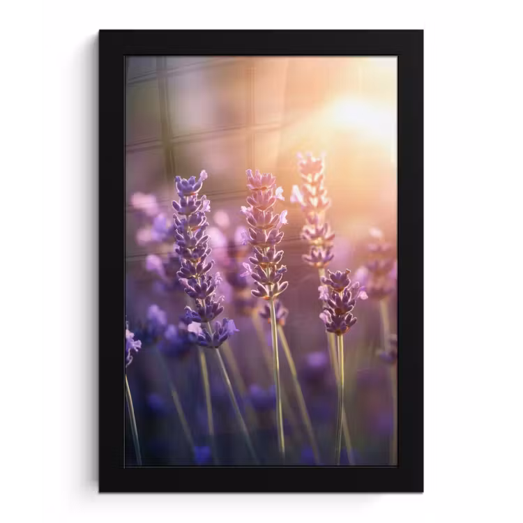Poster met lijst - Lavendelbloemen - Paars - Zonlicht — 1