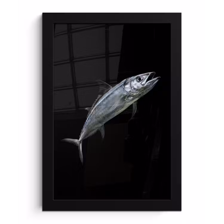 Poster met lijst - Makreel - Vis - Zwart — 1