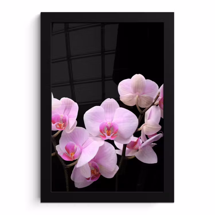 Poster met lijst - Orchidee - Bloemen - Roze - Flora — 1