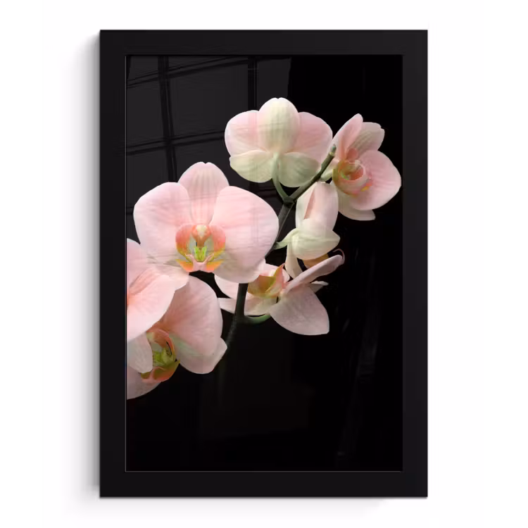 Poster met lijst - Orchidee - Bloemen - Roze - Stilleven - Flora — 1