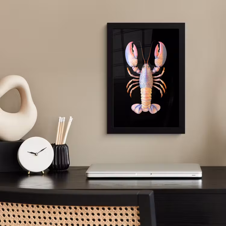 Poster met lijst - Kreeft - Roze - Zacht - Zwart — 3