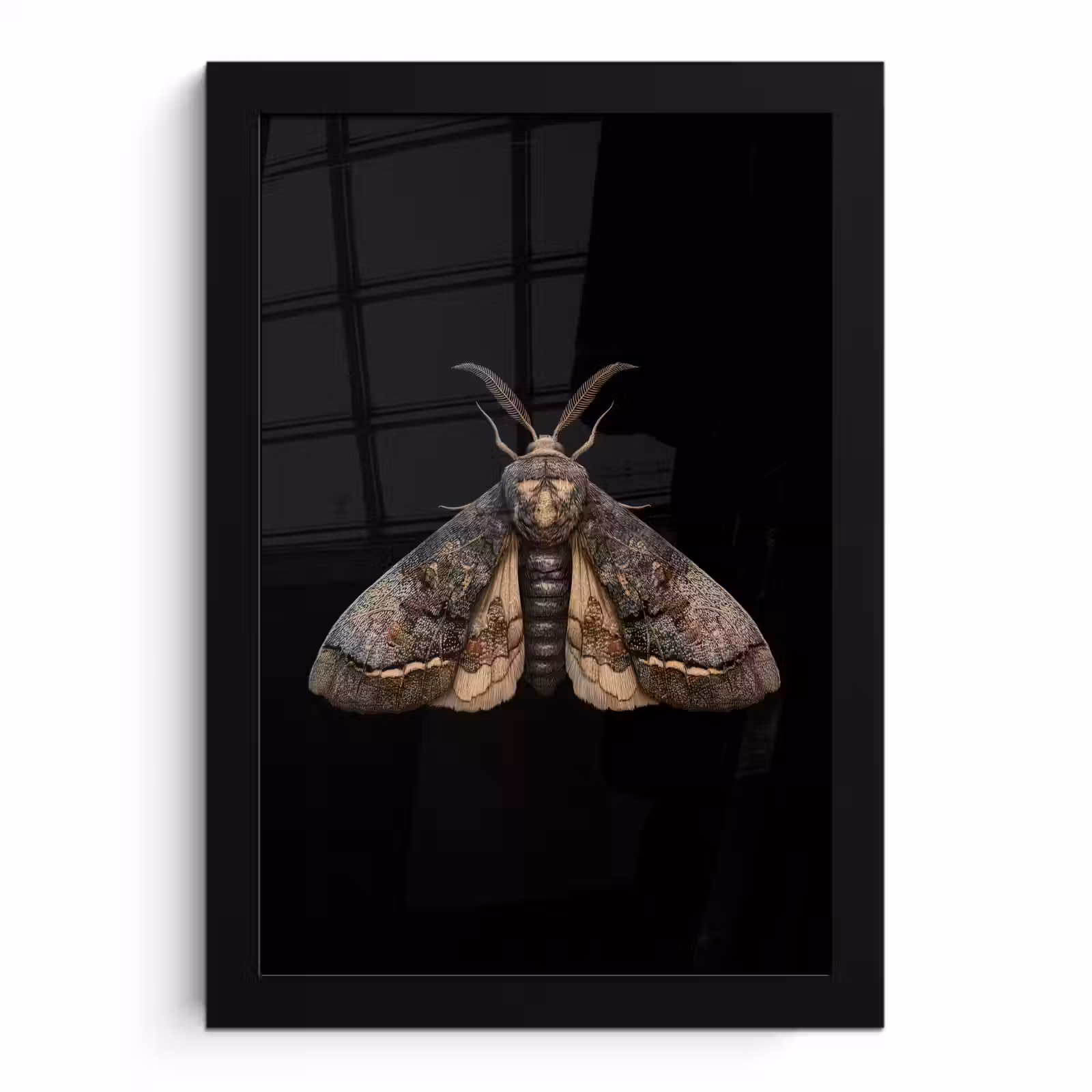 Poster met lijst - Mot - Bladachtig - Grijs — 1