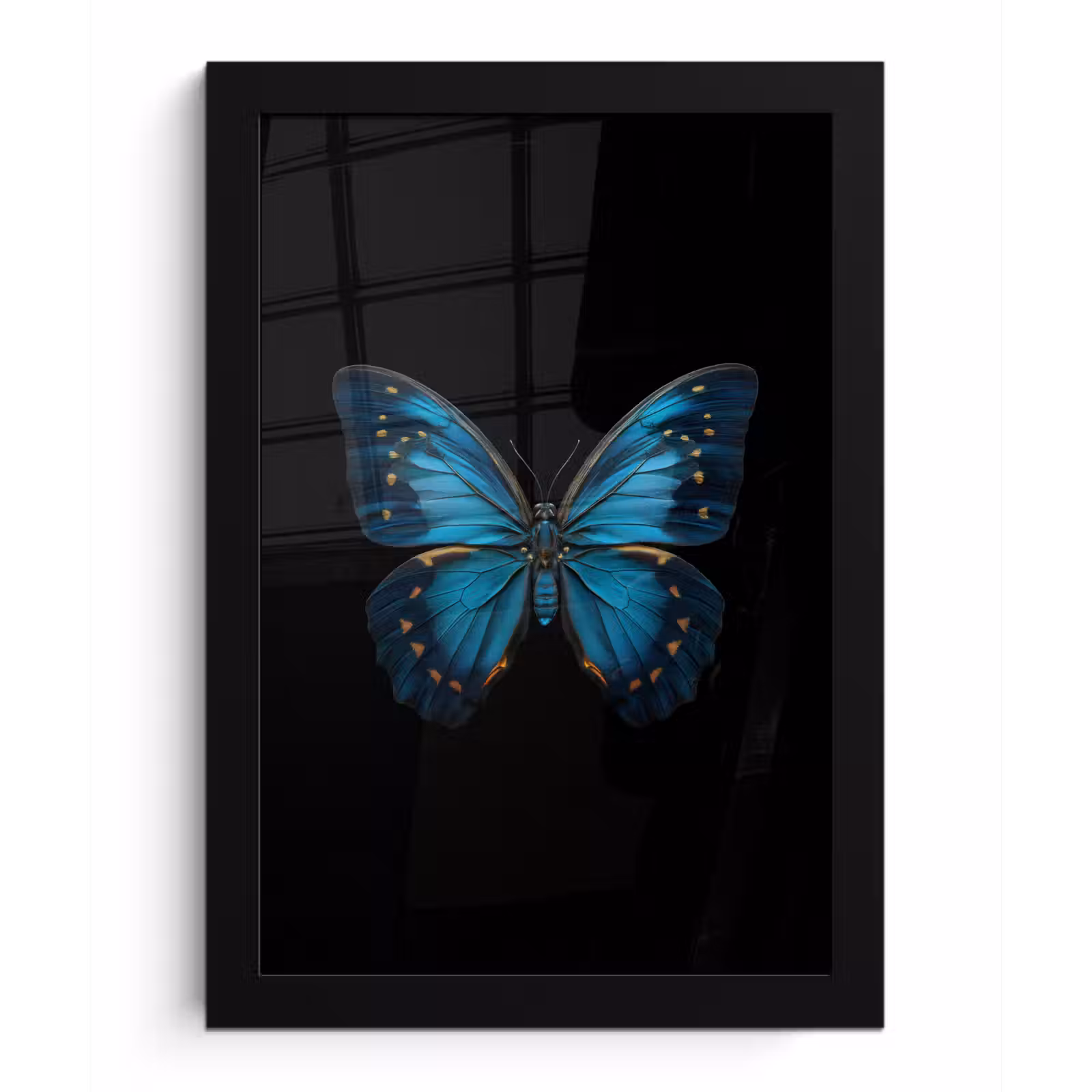 Poster met lijst - Vlinder - Blauw - Contrast — 1