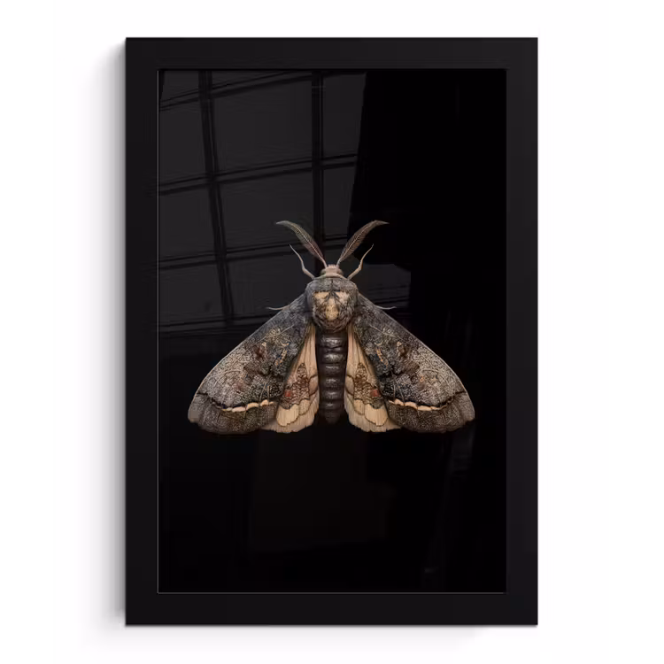 Poster met lijst - Mot - Bladachtig - Grijs — 1