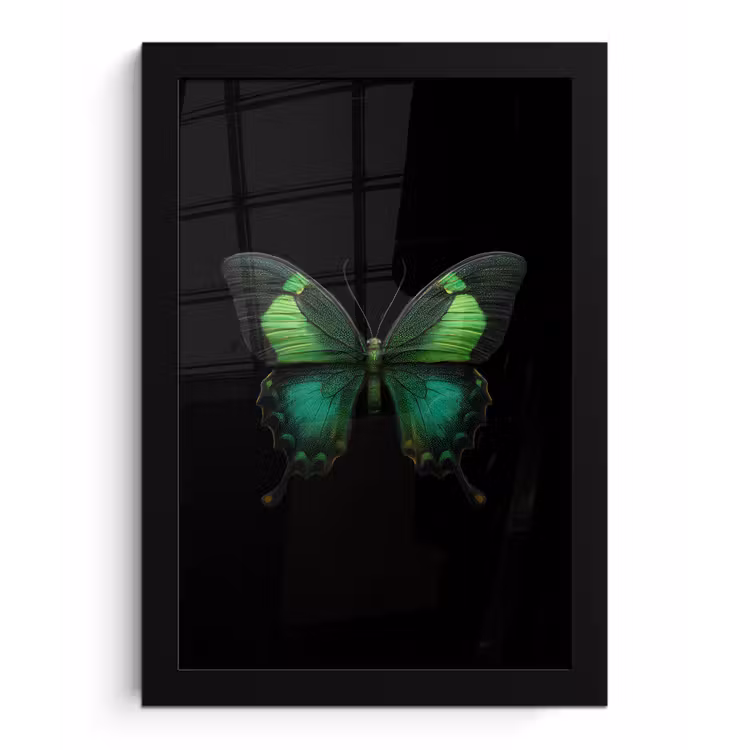 Poster met lijst - Vlinder - Groen - Opvallend — 1