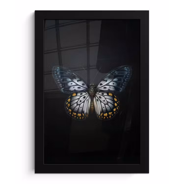 Poster met lijst - Vlinder - Monochroom - Balans — 1