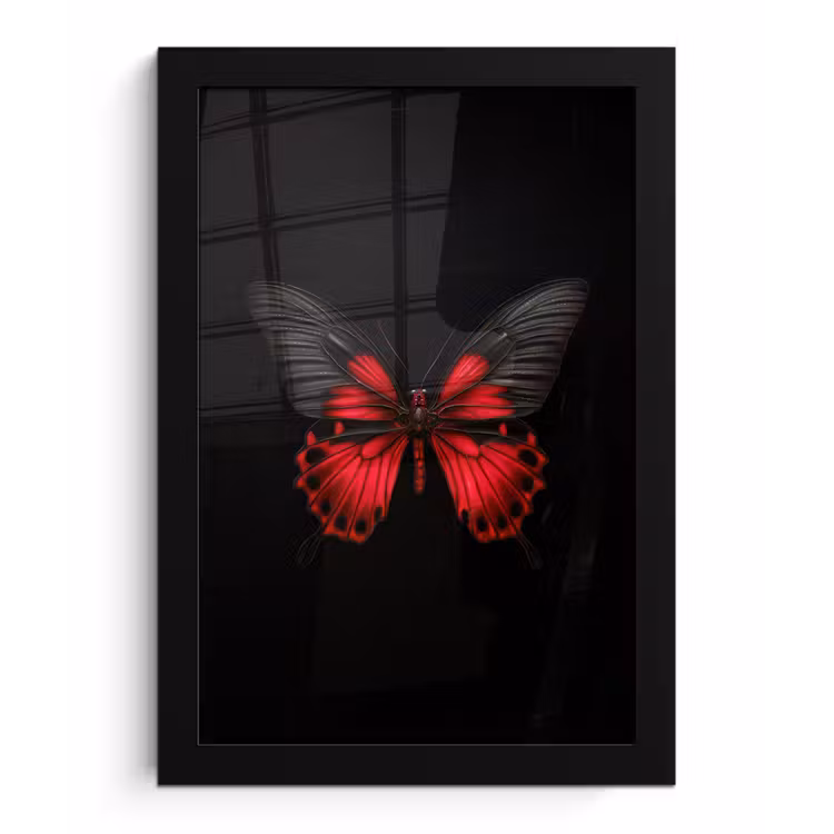 Poster met lijst - Vlinder - Rood - Contrast — 1