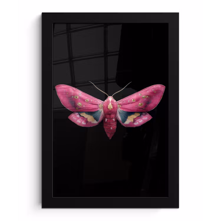 Poster met lijst - Vlinder - Roze - Nachtvlinder — 1
